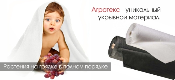 Агротекс - ваши грядки в порядке