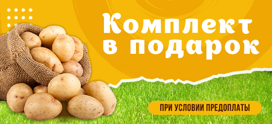Комплект в подарок при условии предоплаты