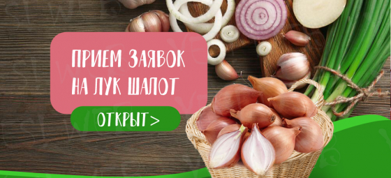 Открыт прием заявок на севок_Осень_2023!